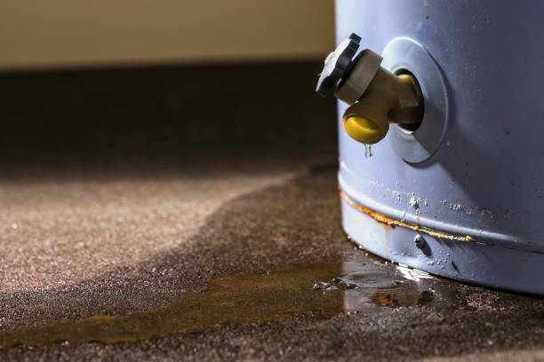 Best Residential water damage restoration  in Bellevue, IA