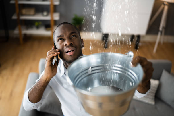 Best Water damage restoration mold remediation  in Bellevue, IA