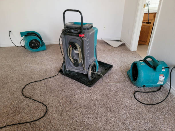 Best Mold removal after water damage  in Bellevue, IA