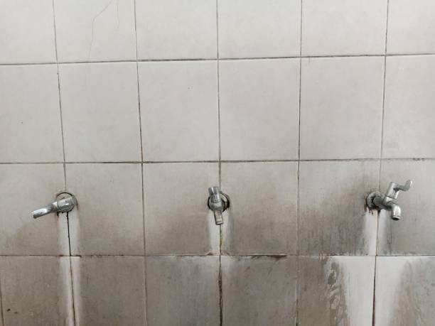 Best 24/7 water damage repair  in Bellevue, IA