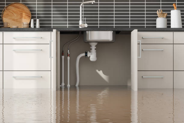 Best Emergency water damage restoration  in Bellevue, IA