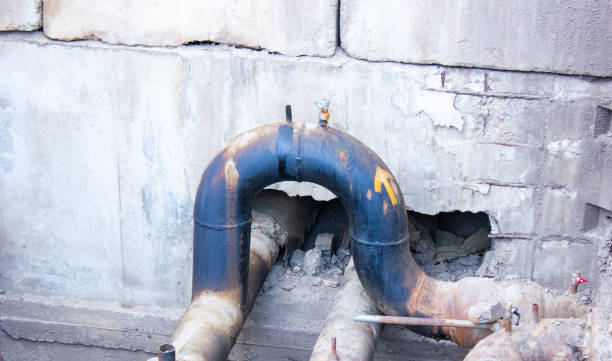 Best Water damage restoration near me  in Bellevue, IA