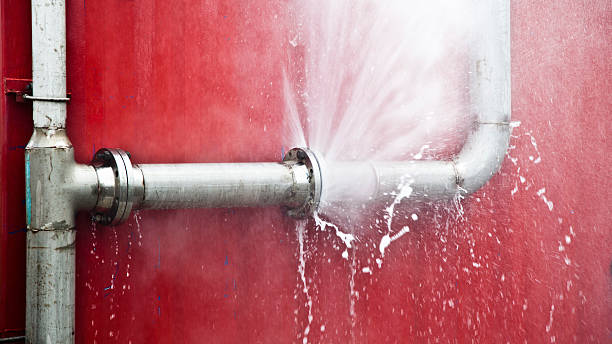 Best Water damage restoration insurance claims  in Bellevue, IA