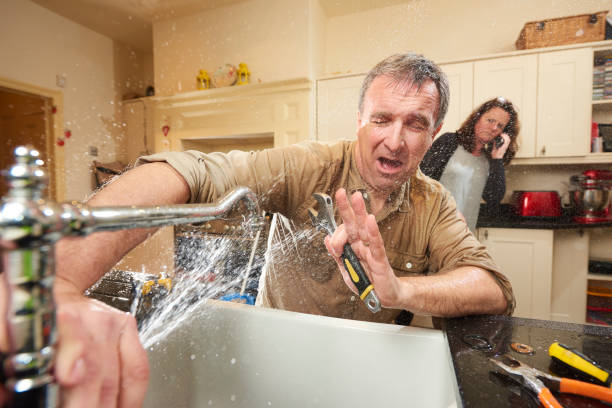 Best Water damage cleanup near me  in Bellevue, IA